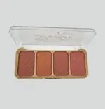 رژگونه دایسل شماره یک ستی شاپ